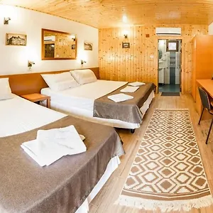 *** Guest house Pensiunea Casa Romania